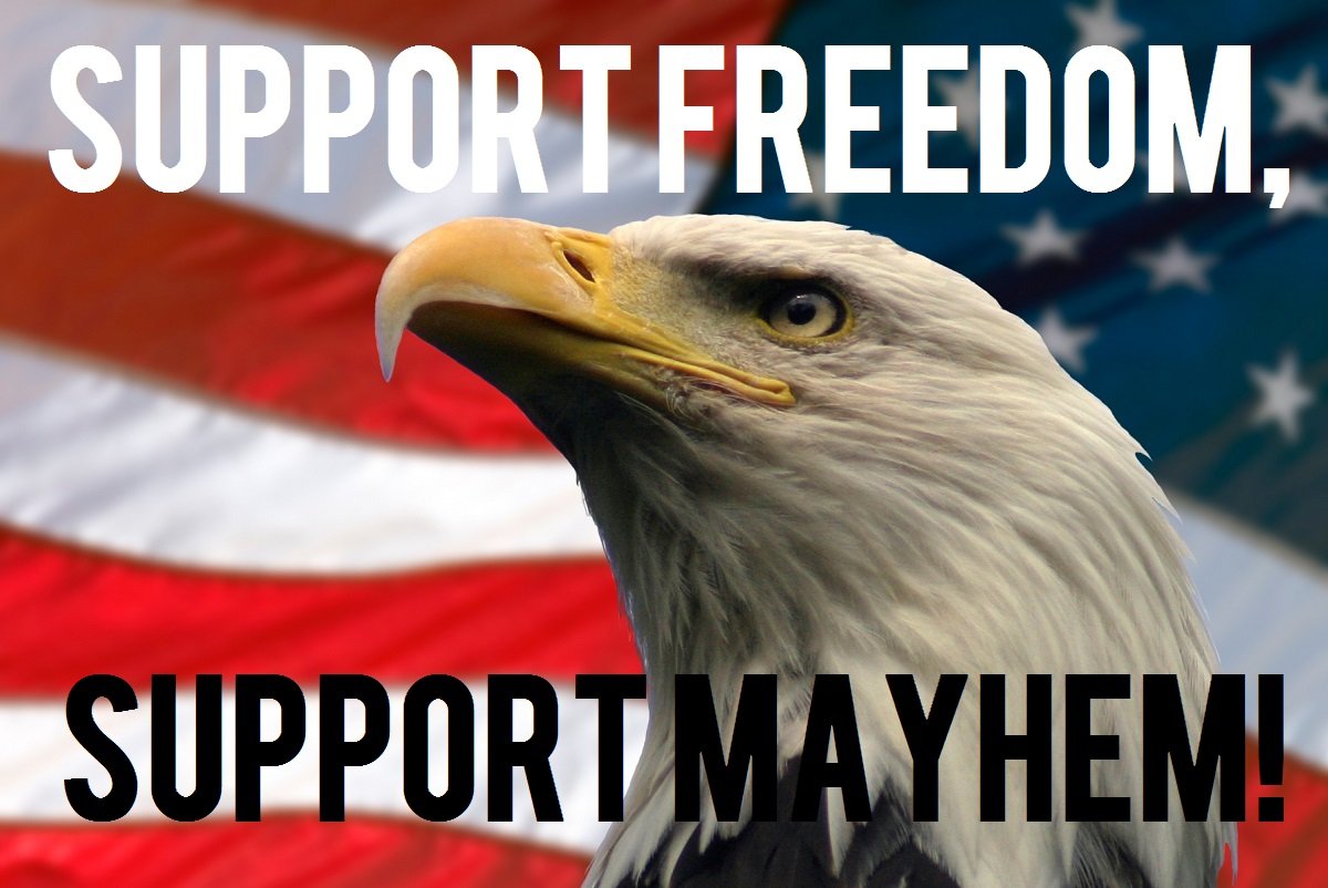 An eagle infront of the American flag with superimposed text saying:'Support Freedom, Support Mayhem!'